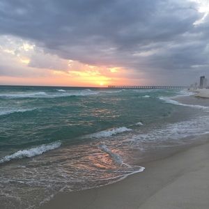 Meet your Posher, Josie